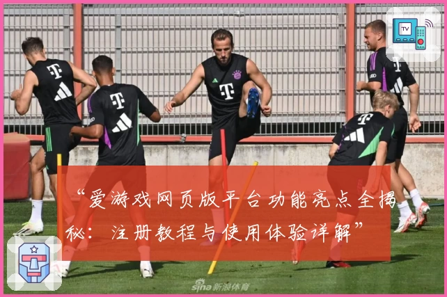 “爱游戏网页版平台功能亮点全揭秘：注册教程与使用体验详解”